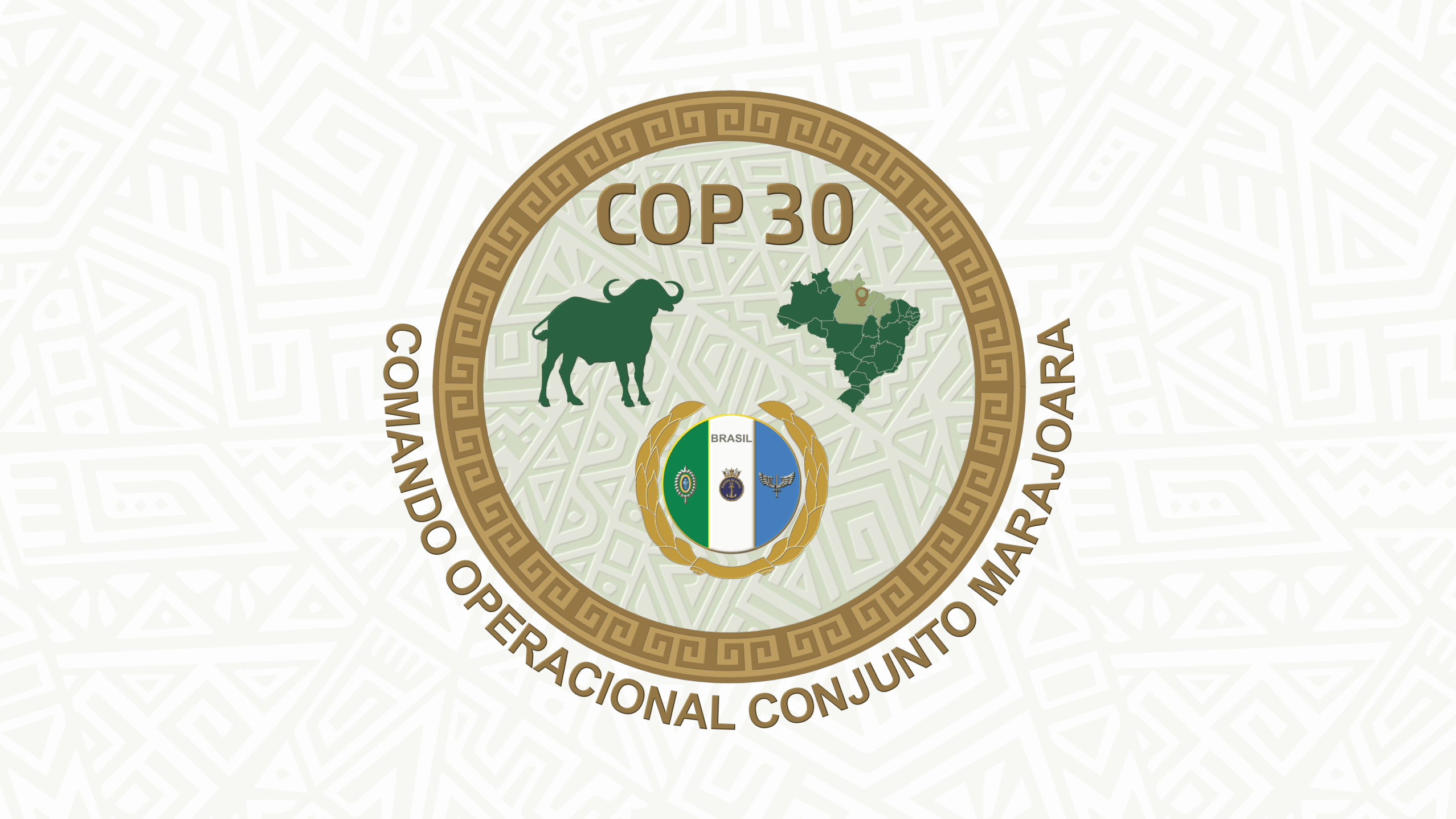 Comando Operacional Conjunto Marajoara