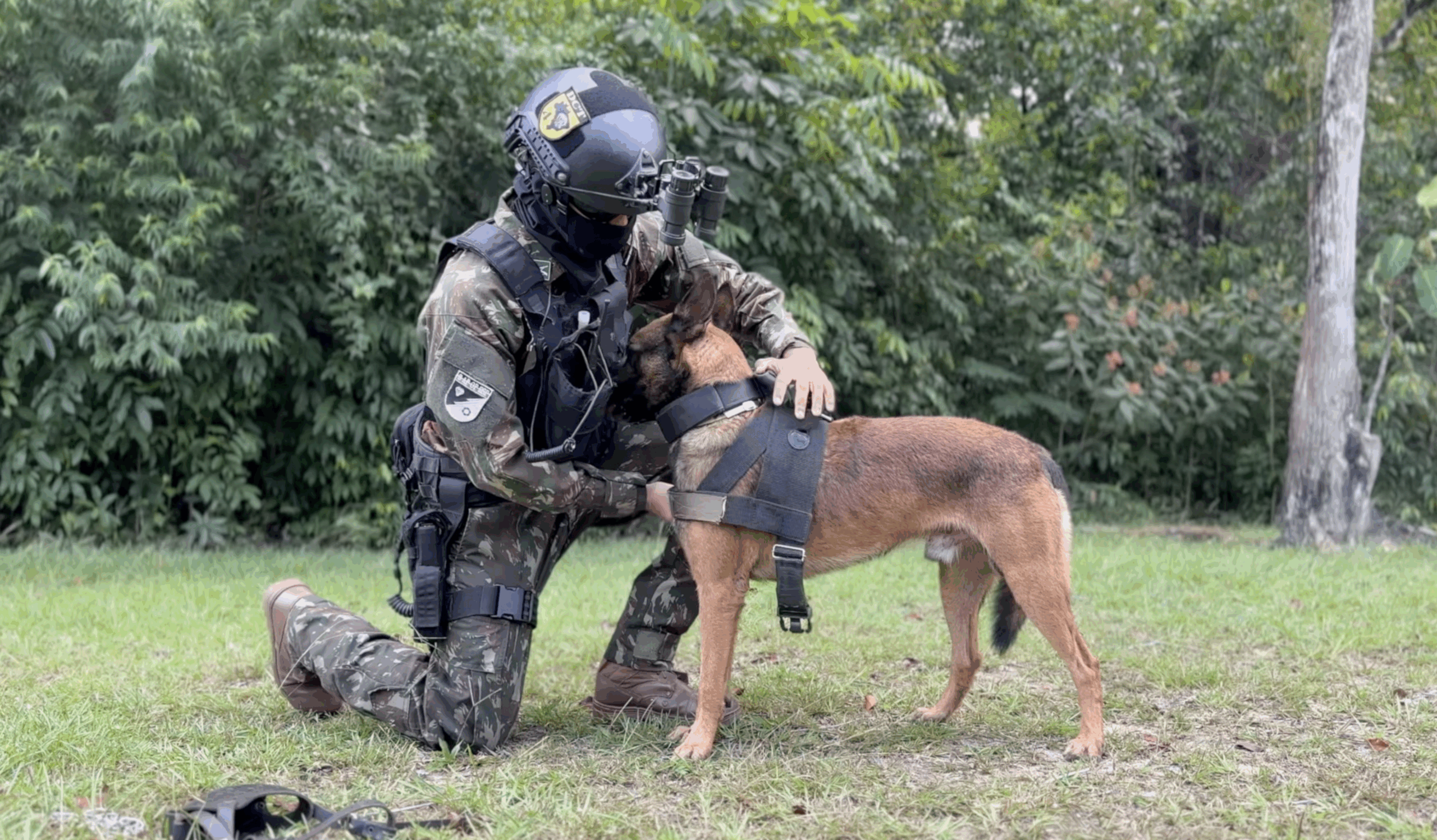 Força de elite do Comando Marajoara é ativada contra ameaças em potencial na COP30